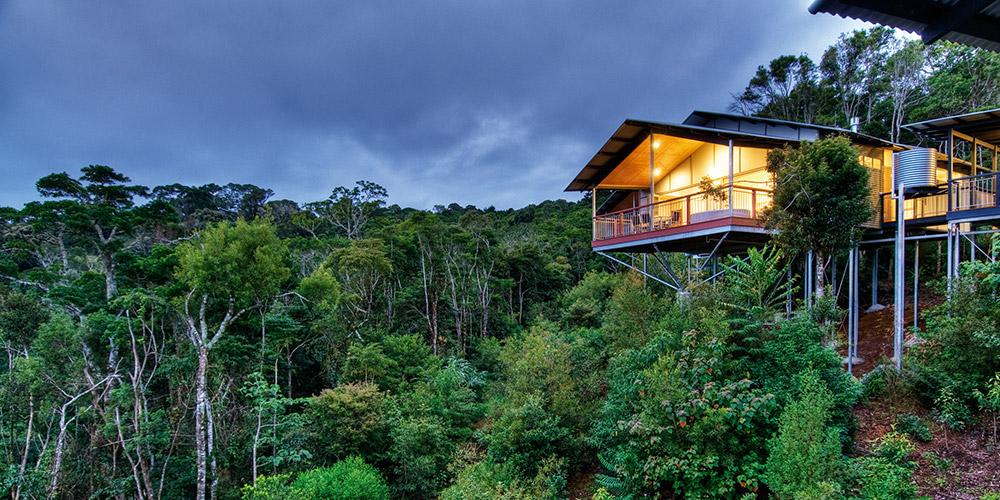 O'Reilly'S Rainforest Retreat Canungra المظهر الخارجي الصورة