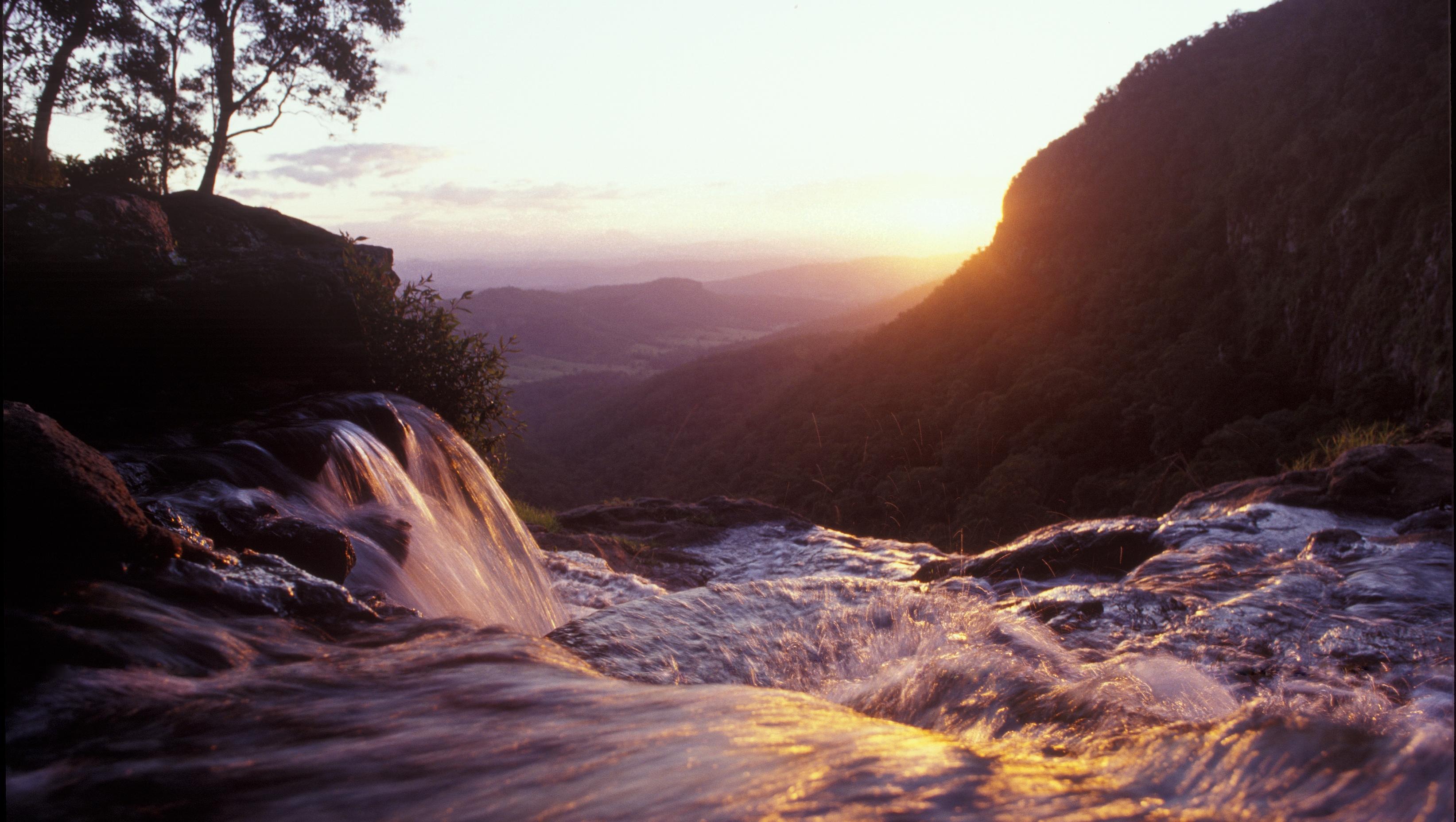 O'Reilly'S Rainforest Retreat Canungra المظهر الخارجي الصورة