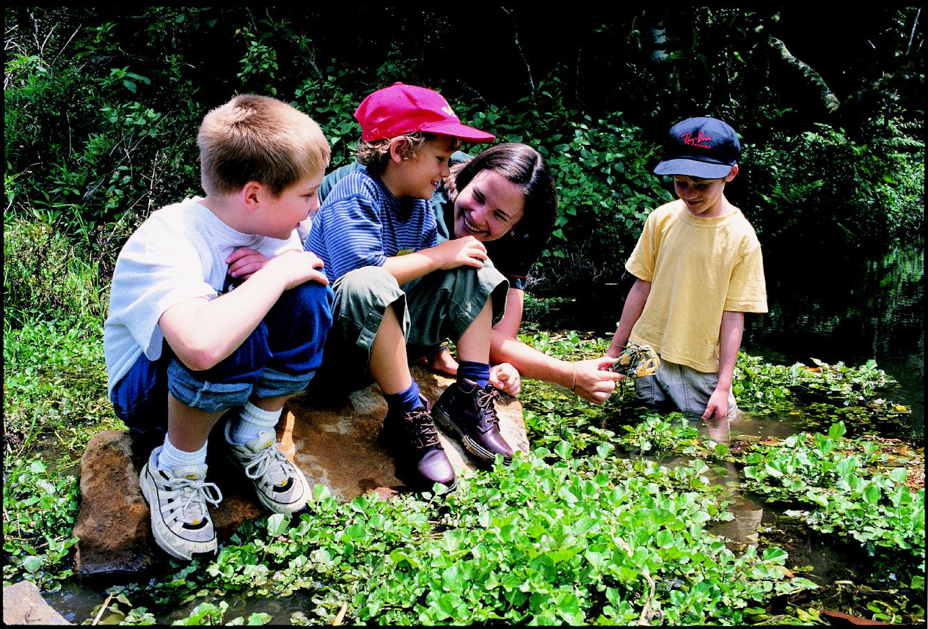 O'Reilly'S Rainforest Retreat Canungra المظهر الخارجي الصورة