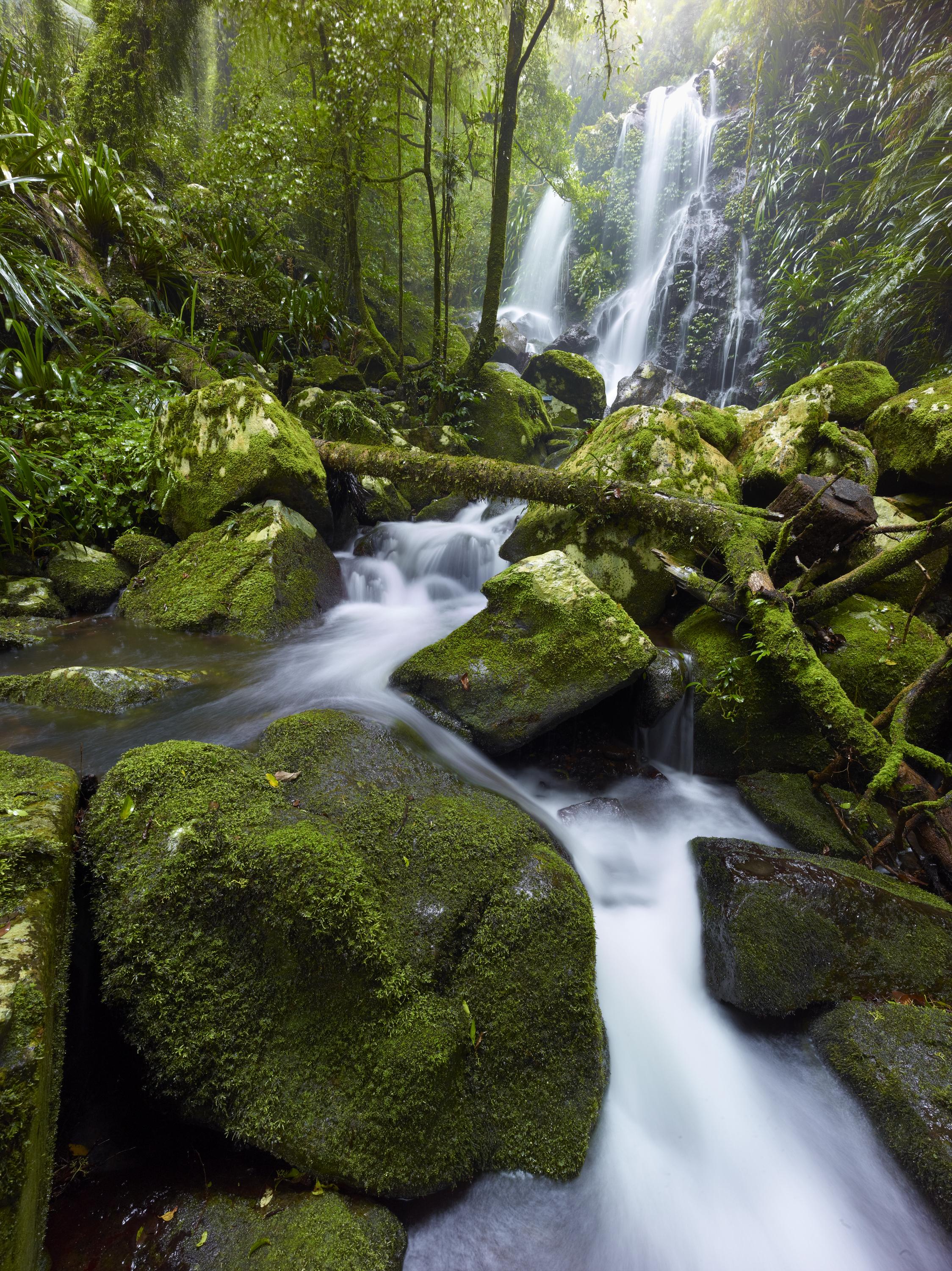 O'Reilly'S Rainforest Retreat Canungra المظهر الخارجي الصورة