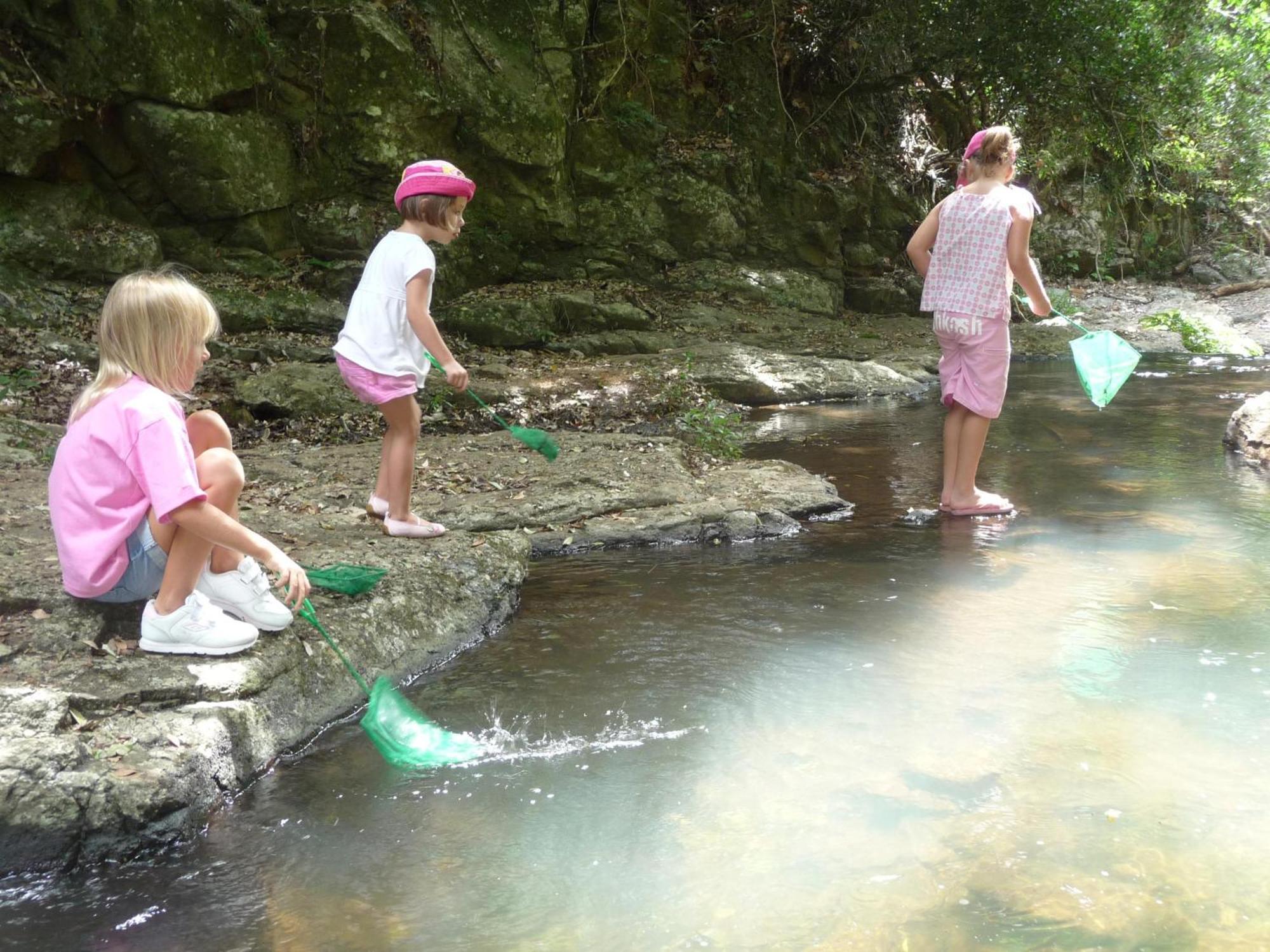 O'Reilly'S Rainforest Retreat Canungra المظهر الخارجي الصورة