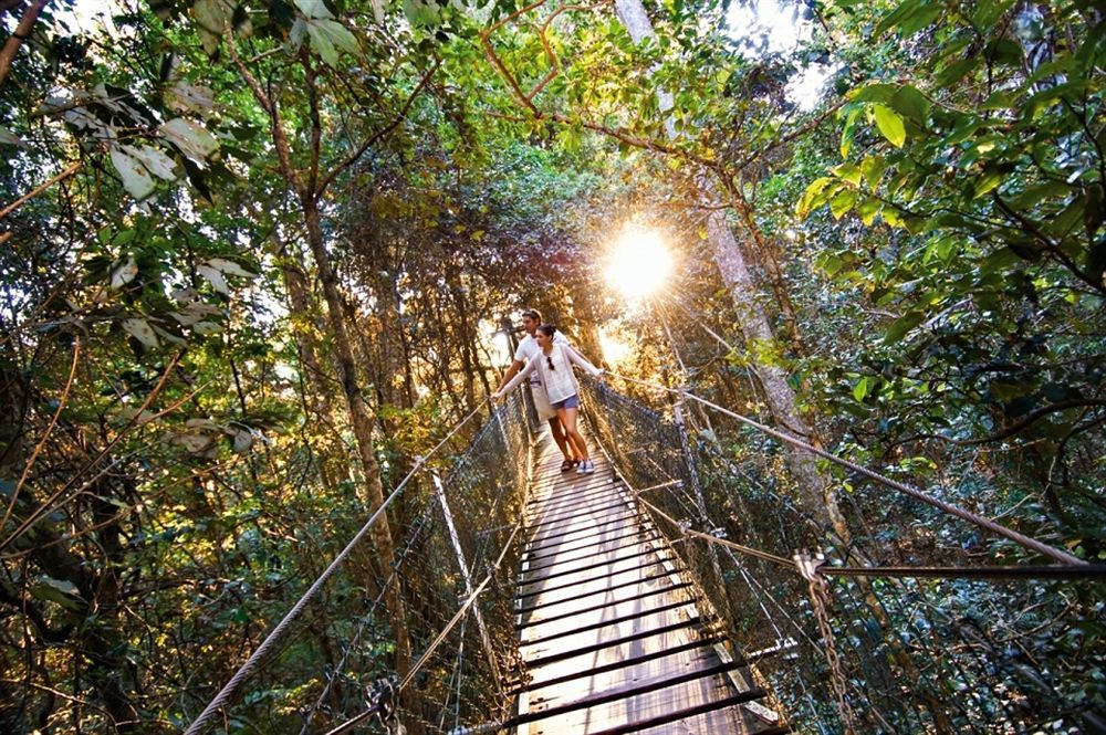 O'Reilly'S Rainforest Retreat Canungra المظهر الخارجي الصورة