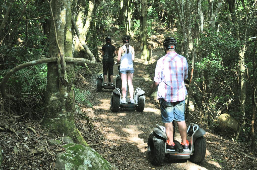 O'Reilly'S Rainforest Retreat Canungra المظهر الخارجي الصورة