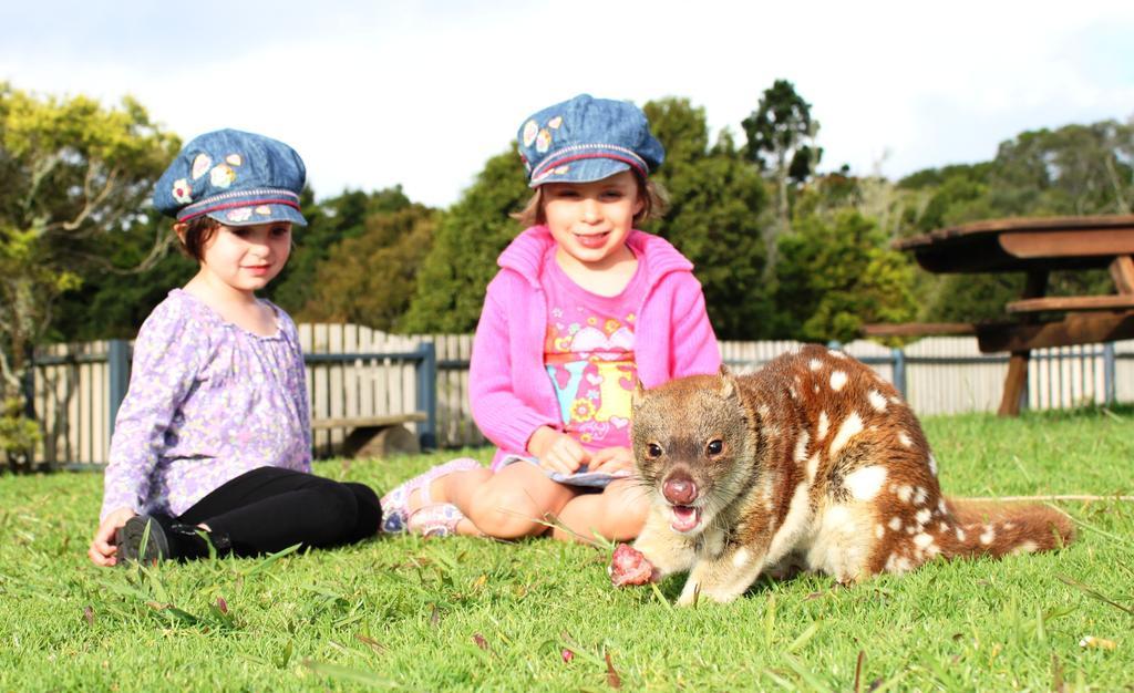 O'Reilly'S Rainforest Retreat Canungra المظهر الخارجي الصورة