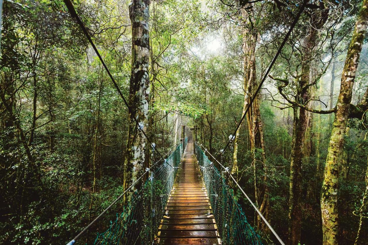 O'Reilly'S Rainforest Retreat Canungra المظهر الخارجي الصورة